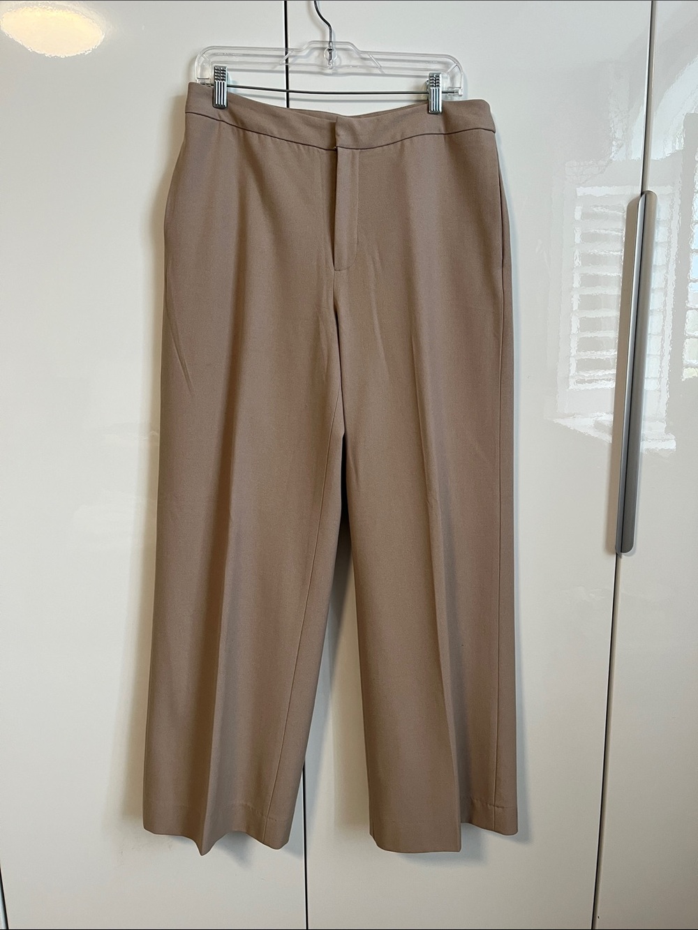 NWOT Wool Like Wide-Leg Dress Pants in Taupe Beige Lined, Size 10